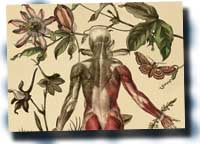 Ciencias Naturales